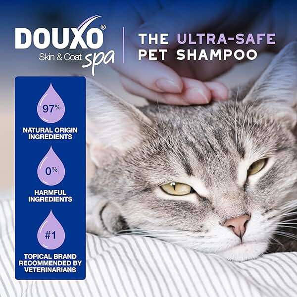 DOUXO SPA Waterless Cat Shampoo, 10 fl oz, Leave-On Mousse. Leaves the Coat Clean, Refreshed, Soft, Radiant and Smelling Great, Ultra-Safe Formula - Image 5