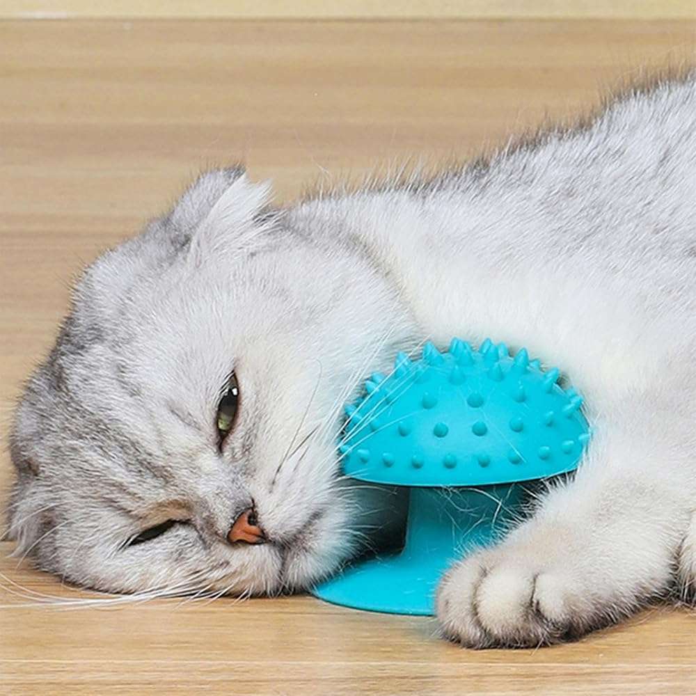 Cat Grooming Supplies for Indoor Pets - Furminator for Cats with Suction Cup - Cat Face Scratcher with Holes for Catnip - Thermoplastic Rubber Corner Brush for Cats Kittens Hamsters (Without Catnip) - Image 6