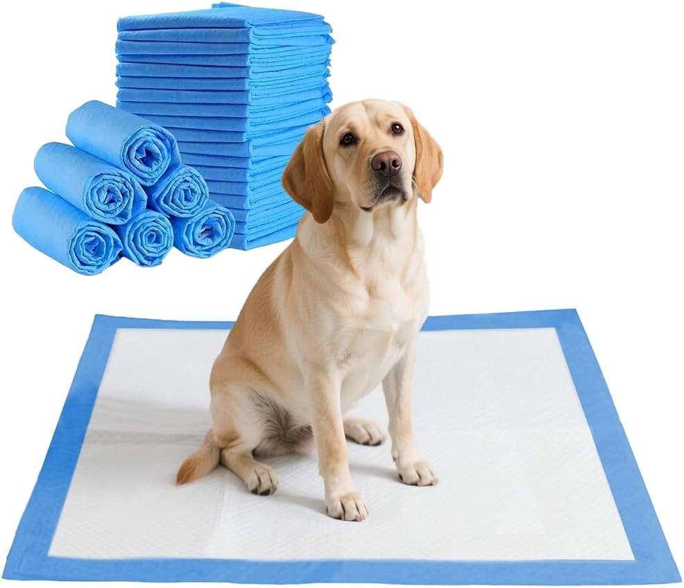 GoofyPet 38 Packs 30"x36" Disposable Puppy Pads, Dog Training Pads, Super Absorbency Disposable Underpads with Leak-Proof and Odor Control, Disposable Training Pads for Puppies, Dogs, Cats, Rabbits - Image 1