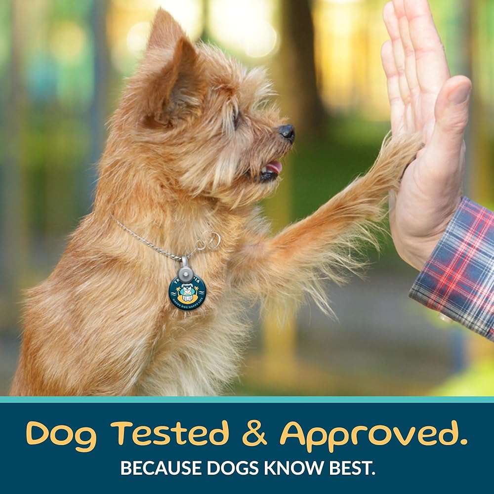 TREATOPIA Beef Lung Nuggies Dog Treats, 1 LB Bag - All-Natural, Sustainable, Healthy, High Protein, Hand-Trimmed, Slow-Roasted, Made in The USA, Nutritious, No Additives, No Fillers - Image 8