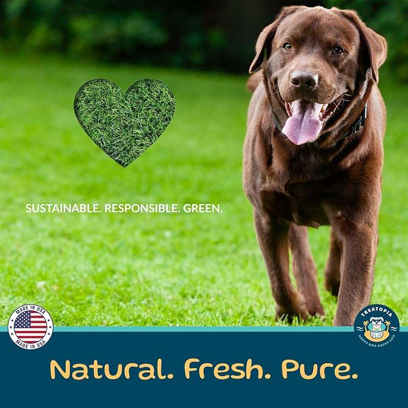 TREATOPIA Beef Lung Nuggies Dog Treats, 1 LB Bag - All-Natural, Sustainable, Healthy, High Protein, Hand-Trimmed, Slow-Roasted, Made in The USA, Nutritious, No Additives, No Fillers - Image 9