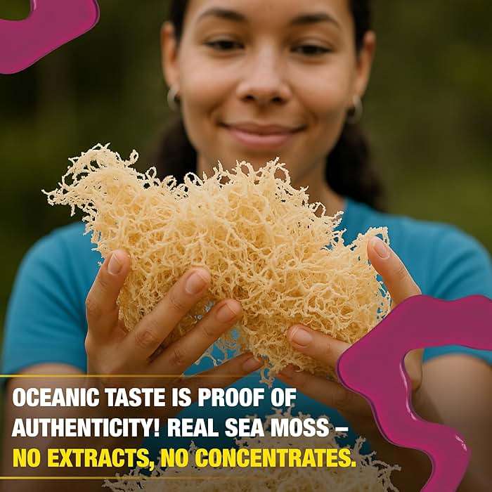 Biolore Elderberry Sea Moss Gel 8oz – Wildcrafted Seamoss, No Added Sugar, Vegan, Made in USA – Elderberry Sea Moss Jam & Superfood Spread - Image 5