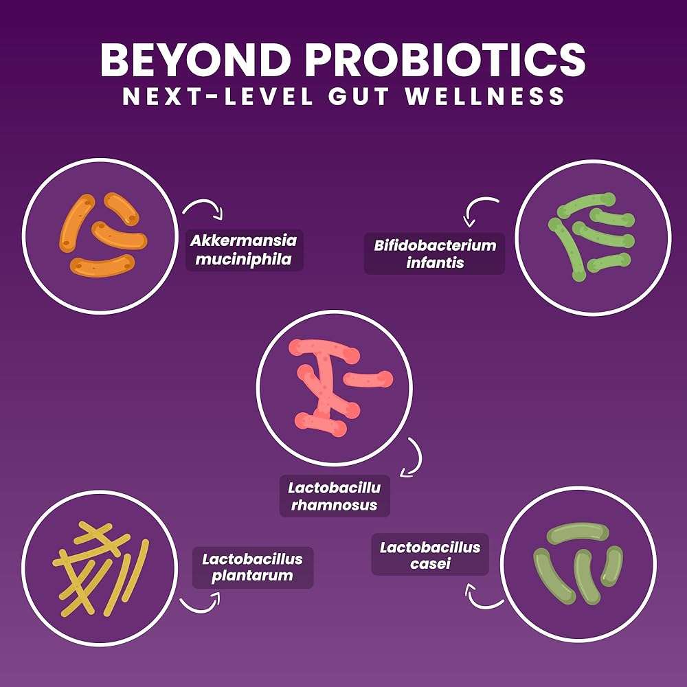 Chewable Akkermansia Probiotic and Prebiotic Supplement NOVO 2.0 with HMO, Supports Gut and Oral Microbiome, Supplements for Digestive Health and Skin Vitality, Targeted Delivery, 30 Tablets - Image 6
