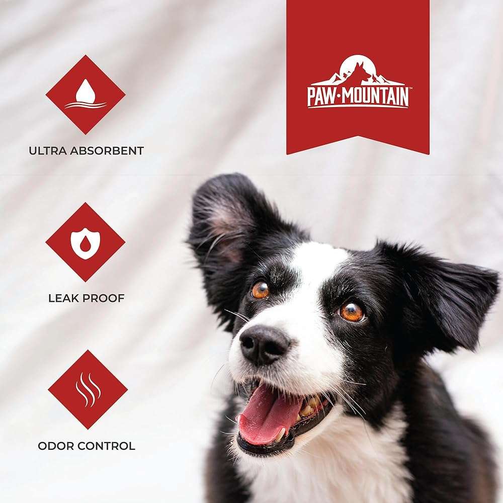Ultra Absorbent Pet & Puppy Pads, 30, 50, 100 Count 22" x 22" Pee Pads for Dogs, Disposable Leak Proof Dog Training Pads, Quick Drying Underpads Puppy Essentials - PAW MOUNTAIN - Image 2