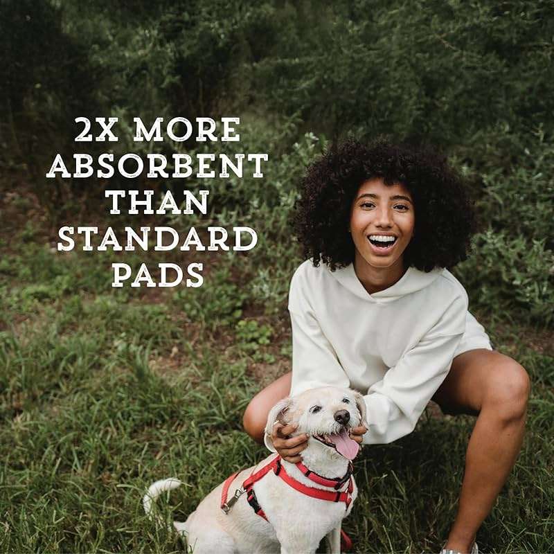 Ultra Absorbent Pet & Puppy Pads, 30, 50, 100 Count 22" x 22" Pee Pads for Dogs, Disposable Leak Proof Dog Training Pads, Quick Drying Underpads Puppy Essentials - PAW MOUNTAIN - Image 4