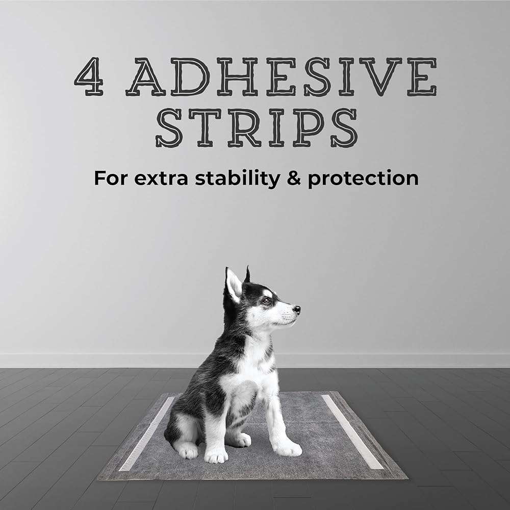 Ultra Absorbent Pet & Puppy Pads, 30, 50, 100 Count 22" x 22" Pee Pads for Dogs, Disposable Leak Proof Dog Training Pads, Quick Drying Underpads Puppy Essentials - PAW MOUNTAIN - Image 5