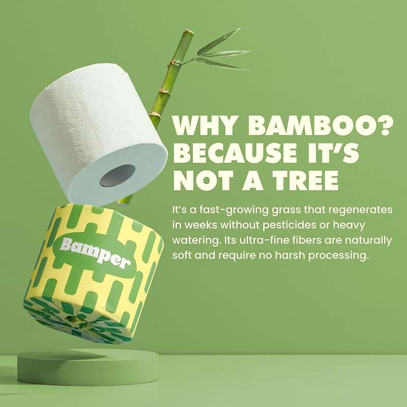 Bamboo Toilet Paper, 3-Ply & 380 Sheets, Soft & Strong Organic Bath Tissue, Chemical-Free & Hypoallergenic, Septic Safe, PFAS-Free, Tree-Free Bathroom Tissue (12 Extra-Large Rolls) - Image 3