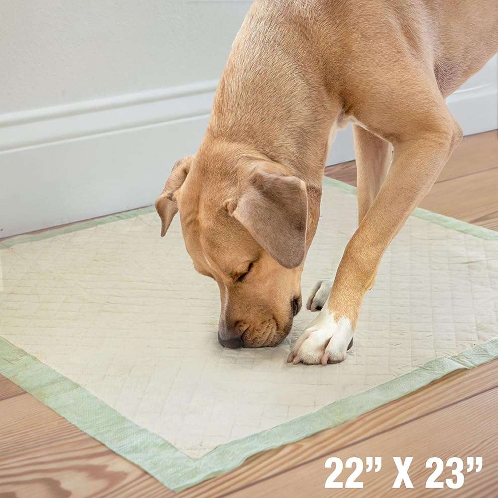 Four Paws Wee-Wee Superior Performance Bamboo Pee Pads for Dogs, Earth Friendly Dog & Puppy Potty Training Pads, Crate Liners, Housebreaking Supplies, 22" x 23" (32 Count) - Image 3