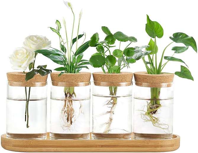 Dahey Plant Propagation Terrarium Desktop Glass Planter Station Water Planting Glass Vase with Lid and Wooden Stand for Propagating Hydroponic Plants Centerpiece Office Home Garden Decor, 4 Pcs - Image 1