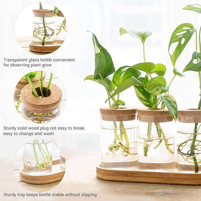 Dahey Plant Propagation Terrarium Desktop Glass Planter Station Water Planting Glass Vase with Lid and Wooden Stand for Propagating Hydroponic Plants Centerpiece Office Home Garden Decor, 4 Pcs - Image 6