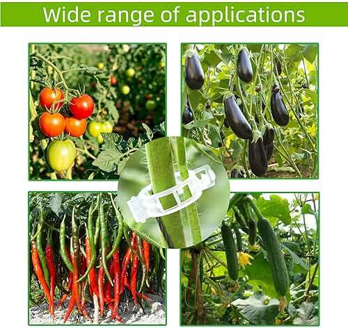 CIQIYO 100 Pcs Plant Support Clips,Plastic Clips for Securing Plants,Tomato Vine Clips,Plant Fixing Clips,Garden Clips for Climbing Plants,Grape,Vine Vegetables (100, White) - Image 6
