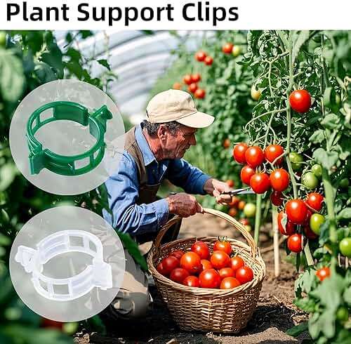 CIQIYO 100 Pcs Plant Support Clips,Plastic Clips for Securing Plants,Tomato Vine Clips,Plant Fixing Clips,Garden Clips for Climbing Plants,Grape,Vine Vegetables (100, White) - Image 7