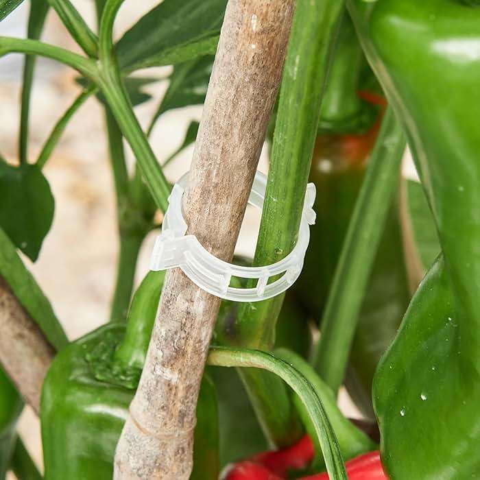 CIQIYO 100 Pcs Plant Support Clips,Plastic Clips for Securing Plants,Tomato Vine Clips,Plant Fixing Clips,Garden Clips for Climbing Plants,Grape,Vine Vegetables (100, White) - Image 9
