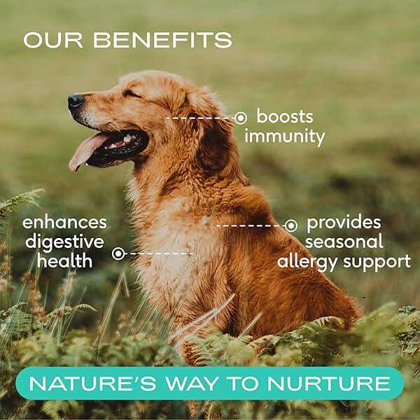 Native Pet Colostrum for Dogs - Bovine Colostrum Powder - Dog Allergy Relief, Itchy Skin Relief, Immune Support & Gut Health - 100% Single-Ingredient Supplement with Bioactive Nutrients - 120 Scoops - Image 2