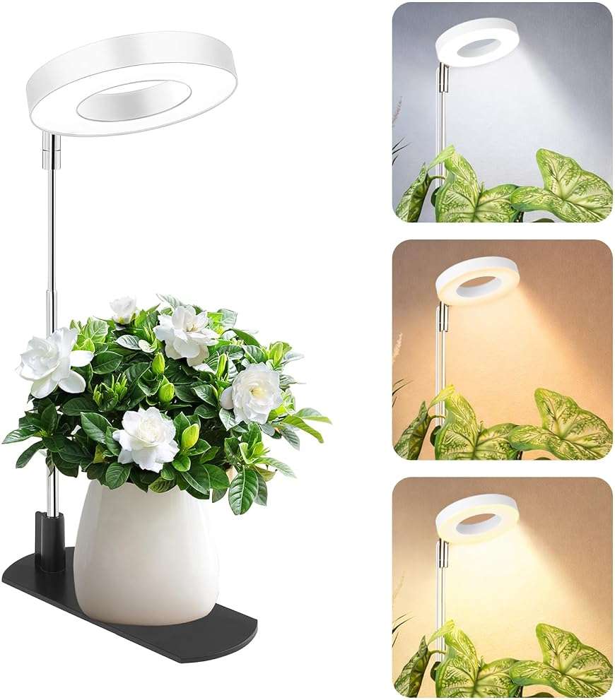 LBW Grow Light for Indoor Plants, Full Spectrum Plant Light with Base, Height Adjustable Plant Growing Lamp with Auto On/Off Timer 6/8/12/16H, 3 Colors,5 Dimmable Brightness, for Small Plants, White - Image 1