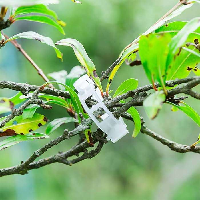 300 Pcs Plant Clips - Plastic Plant Clips for Climbing Plants,Reusable Plant Support Clips for Tomatoes, Vines,Cucumbers, and Climbing Plants,Gentle & Secure Garden Clips for Indoor & Outdoor Use - Image 2
