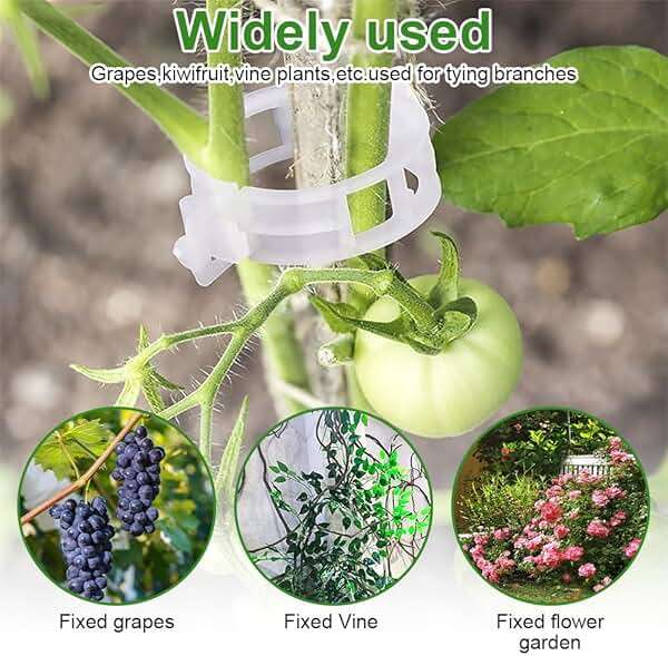 300 Pcs Plant Clips - Plastic Plant Clips for Climbing Plants,Reusable Plant Support Clips for Tomatoes, Vines,Cucumbers, and Climbing Plants,Gentle & Secure Garden Clips for Indoor & Outdoor Use - Image 6
