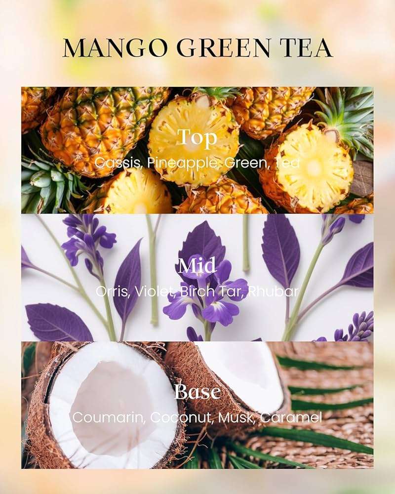 M&SENSE Mango Green Tea Soy Candle, 8.1oz 42H Slow Burning Non Toxic, Tropical Tea Aromatherapy, Summer Relaxation Gift - Image 3