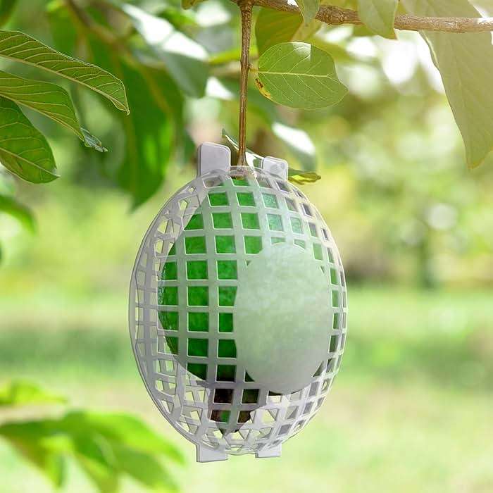 Rooted Promise Fruit Protection Cages for Peaches and More | 2026 Improved Secure-Lock Design | Small 4x5 Inch | 12 Pack | Squirrel Resistant | Reusable Heavy-Duty Plastic | Made in USA - Image 1