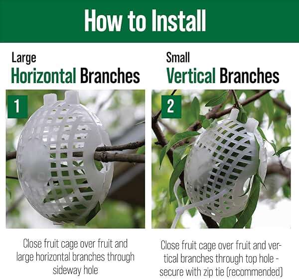 Rooted Promise Fruit Protection Cages for Peaches and More | 2026 Improved Secure-Lock Design | Small 4x5 Inch | 12 Pack | Squirrel Resistant | Reusable Heavy-Duty Plastic | Made in USA - Image 3