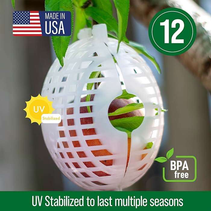 Rooted Promise Fruit Protection Cages for Peaches and More | 2026 Improved Secure-Lock Design | Small 4x5 Inch | 12 Pack | Squirrel Resistant | Reusable Heavy-Duty Plastic | Made in USA - Image 4