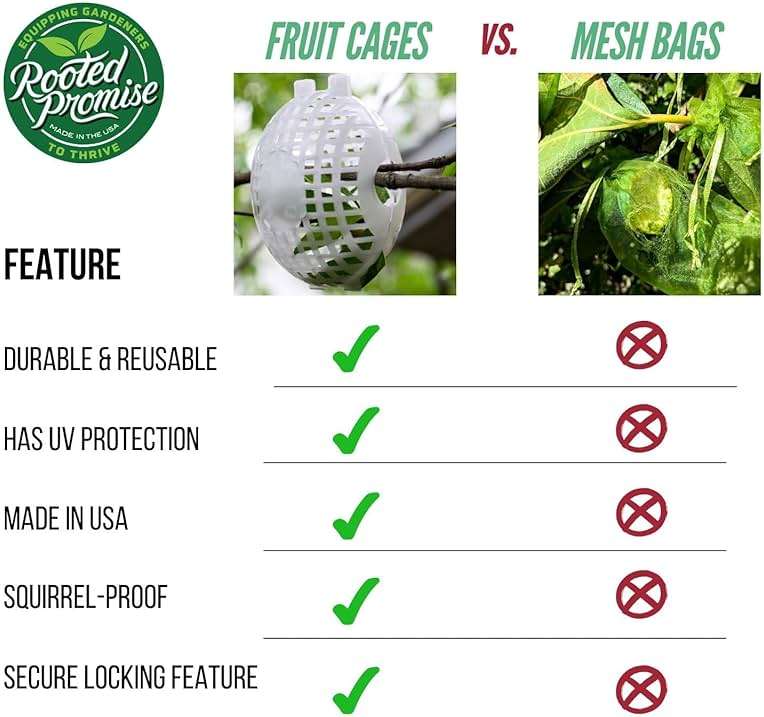 Rooted Promise Fruit Protection Cages for Peaches and More | 2026 Improved Secure-Lock Design | Small 4x5 Inch | 12 Pack | Squirrel Resistant | Reusable Heavy-Duty Plastic | Made in USA - Image 5