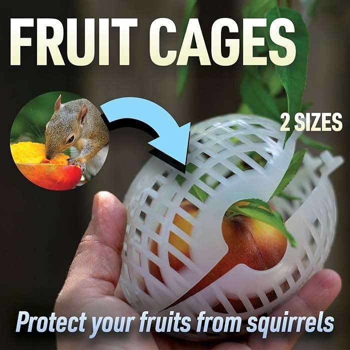 Rooted Promise Fruit Protection Cages for Peaches and More | 2026 Improved Secure-Lock Design | Small 4x5 Inch | 12 Pack | Squirrel Resistant | Reusable Heavy-Duty Plastic | Made in USA - Image 6