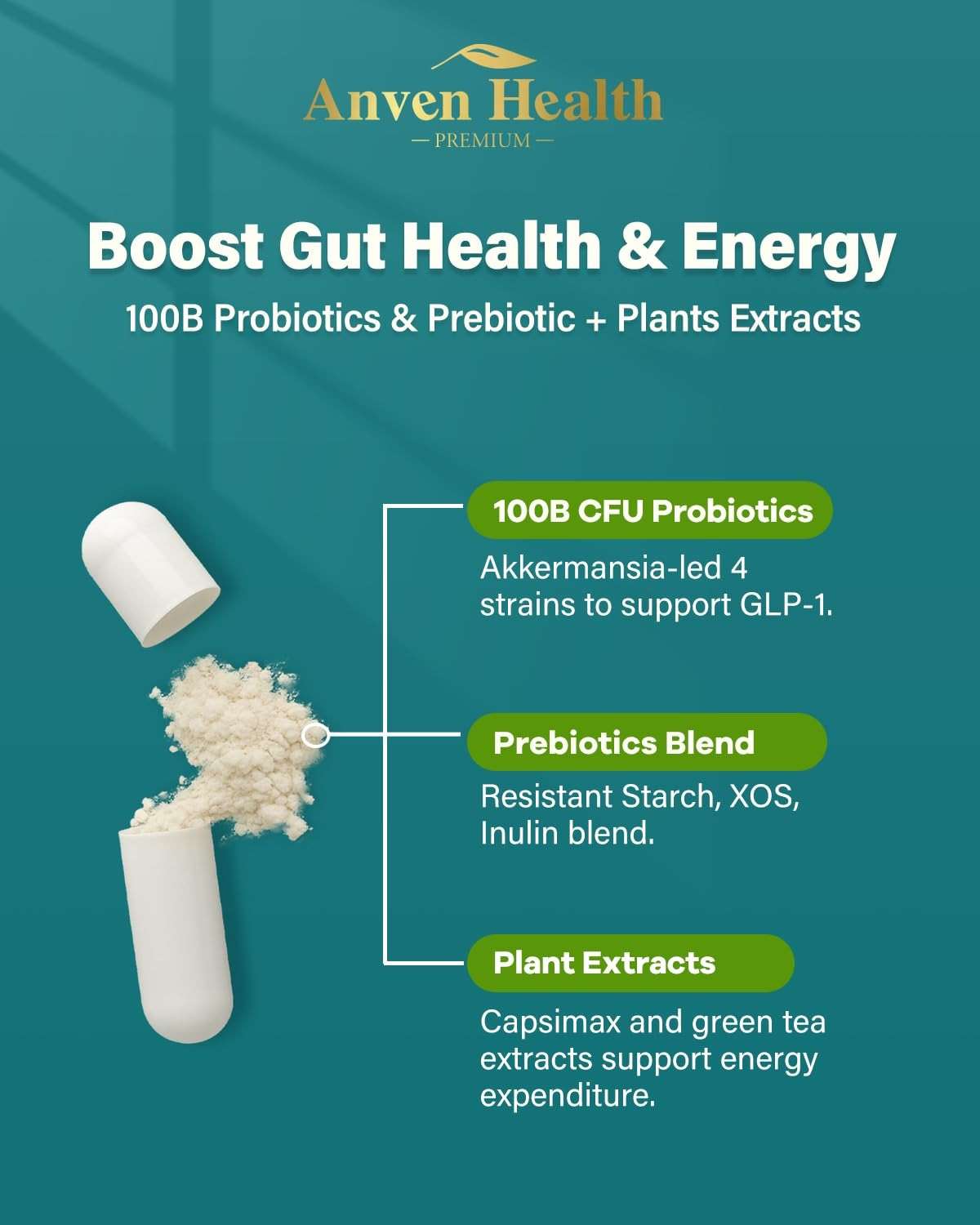 Anven Health GLP-1 Supplement 100 Billion Akkermansia Probiotic & Prebiotic for Gut Health & Digestion, Metabolism & Energy Support with Vitamin B2 & D, Green Tea and Chromium - Non-GMO | 90 Capsules - Image 6