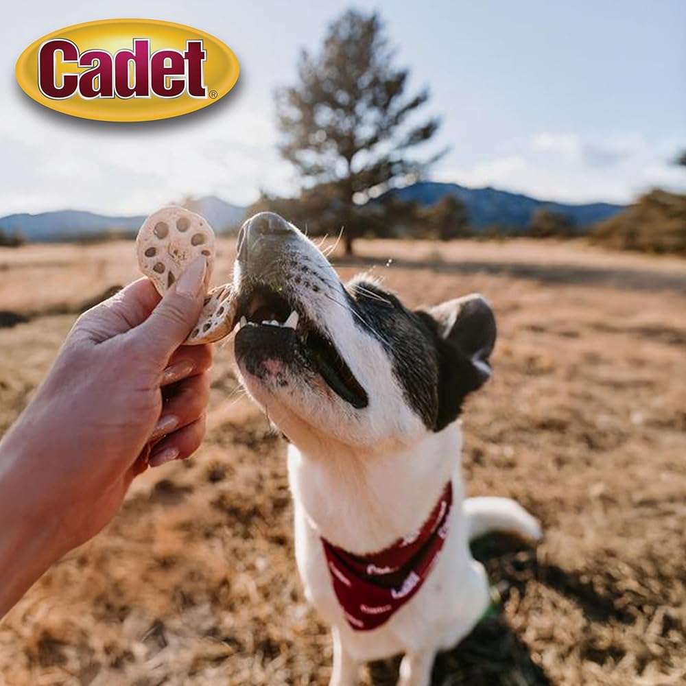 Cadet Gourmet Crunch'ems Homestyle Dog Treats, Natural Dog Chews with Real Chicken and Lotus Root, Duck 'N Veggie Flavor, 10 Count (Pack of 1) - Image 2