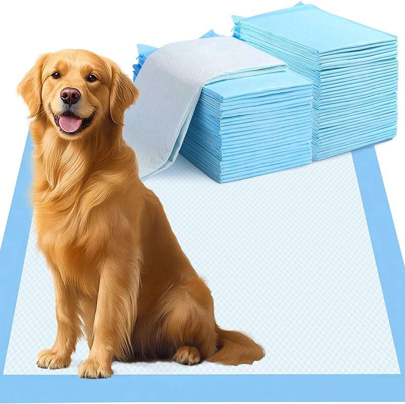 60 Count Extra Large Dog Pee Pads - 30"X36" Super Absorbent Disposable Training Urine Bed Pads Dogs Puppies - Thickened XXL LeakProof & Quick Drying Piddle Potty Incontinence Underpads for Baby Adults - Image 1