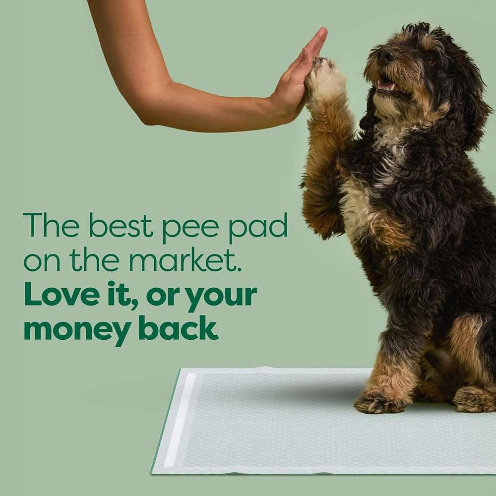 Earth Rated 3-in-1 Max Absorbency Puppy Pee Pads for Dogs, Odor Blocking, Leak Prevention Potty Training Pad, XL, 28 x 34 Inches, 7 Count - Image 3