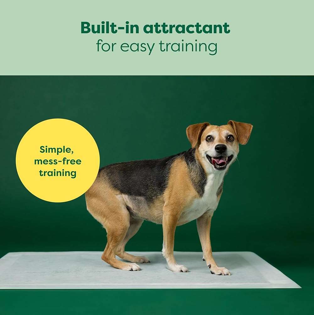 Earth Rated 3-in-1 Max Absorbency Puppy Pee Pads for Dogs, Odor Blocking, Leak Prevention Potty Training Pad, XL, 28 x 34 Inches, 7 Count - Image 7