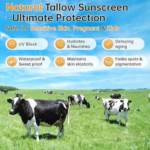 Beef Tallow Sunscreen SPF 50+ 100% Organic Grass-Fed Beef Tallow for Skin, face for women | Natural Sunscreen No Chemicals - Hyaluronic & Centella Sunscreen 60g*2pcs - Image 3