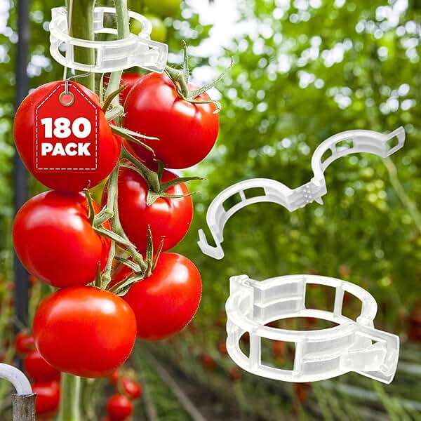 180 Pcs Plant Support Clips, Clear Plastic Trellis Clips, Garden Clips, Vegetable Clips, Vine Tomato Clips for Plants Support, Plant Clips for Climbing Plants to Grow Upright & Healthier - RamPro - Image 1