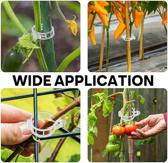 180 Pcs Plant Support Clips, Clear Plastic Trellis Clips, Garden Clips, Vegetable Clips, Vine Tomato Clips for Plants Support, Plant Clips for Climbing Plants to Grow Upright & Healthier - RamPro - Image 5