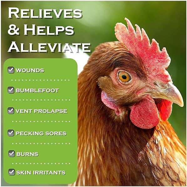 Chicken's Choice Wound Care for Chickens & Birds. Advanced Wound Care Spray for Poultry. Works for Bumblefoot, Vent Prolapse, Pecking Sore, Burns & Skin Irritations. 8 oz Ready to Use Spray - Image 2