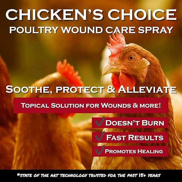 Chicken's Choice Wound Care for Chickens & Birds. Advanced Wound Care Spray for Poultry. Works for Bumblefoot, Vent Prolapse, Pecking Sore, Burns & Skin Irritations. 8 oz Ready to Use Spray - Image 3
