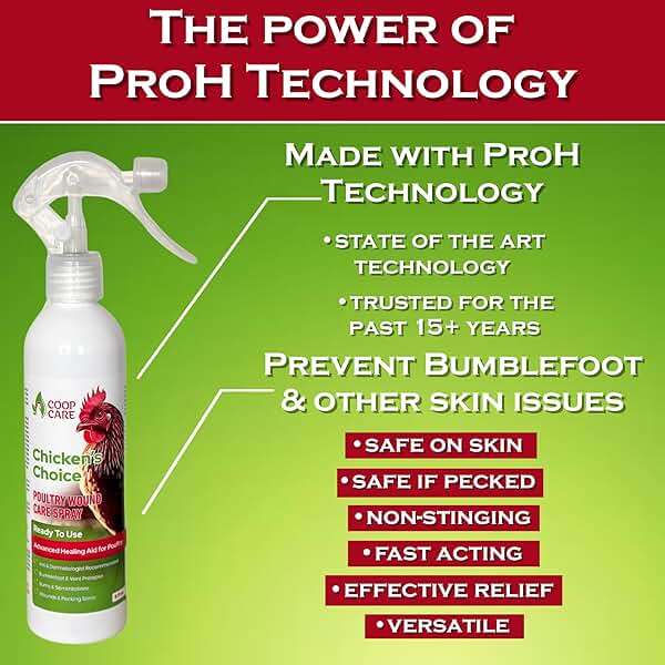 Chicken's Choice Wound Care for Chickens & Birds. Advanced Wound Care Spray for Poultry. Works for Bumblefoot, Vent Prolapse, Pecking Sore, Burns & Skin Irritations. 8 oz Ready to Use Spray - Image 4