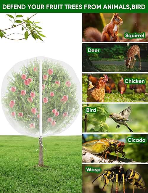 VITI Large Fruit Trees Netting Zipper - 2Pcs 10X10 FT with Drawstring Bird-Proof,Durable Mesh Covers for Blueberry,Apple,Pear,Peach,Orange Trees&Tomato Plants Bug Insect Protection Cover (2,10X10 FT) - Image 4