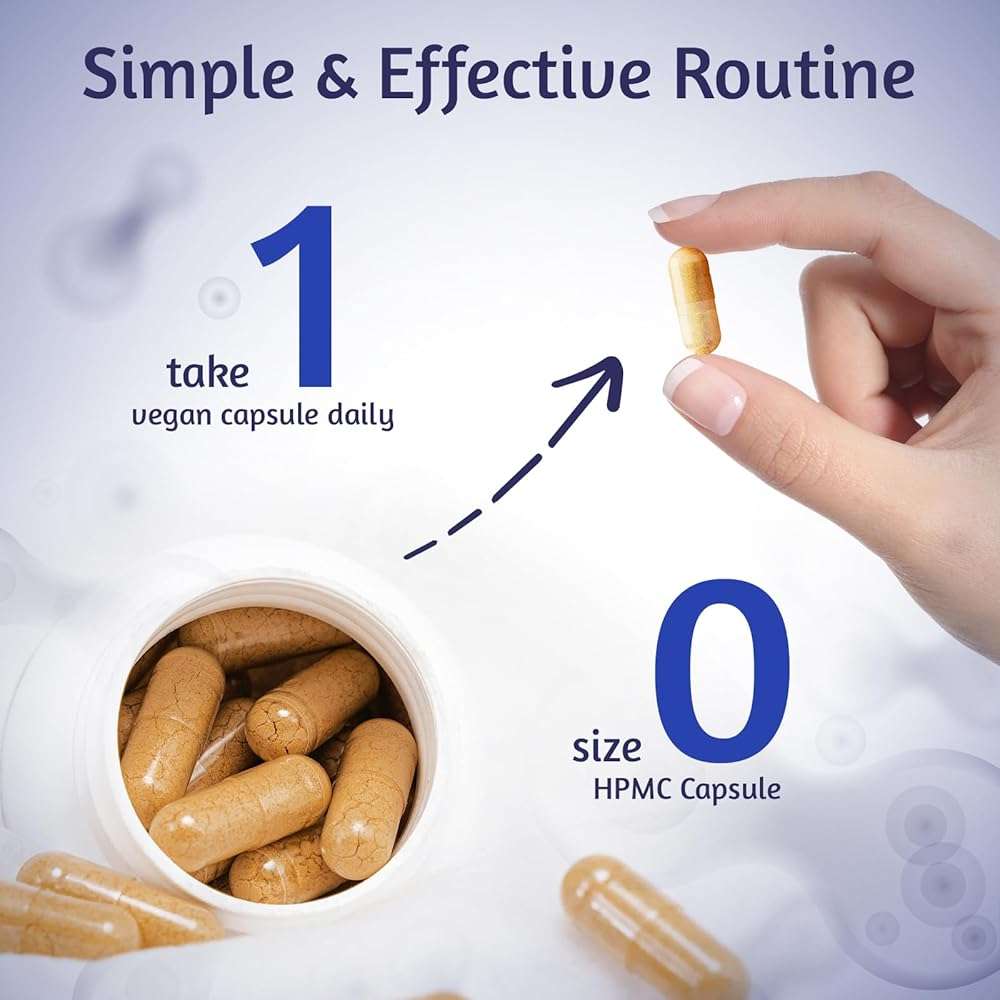Angtai JN Akkermansia Muciniphila Probiotic 30 Billion TFU, Pasteurized Form, with Natural Prebiotic Inulin, GLP-1 Supplement for Gut Health & Digestion, Shelf Stable, 30 Vegan Capsules - Image 4