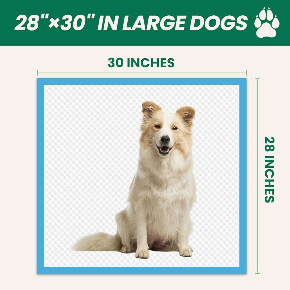 100 Count Large Dog & Cat Puppy Pee Pads - 28"x30" Absorbent Potty Training Pads | Leakproof Quick-Dry Disposable Pet Pads for Puppies, Dogs & Cats | Indoor, Outdoor, Litter Box, Housebreaking Use - Image 3