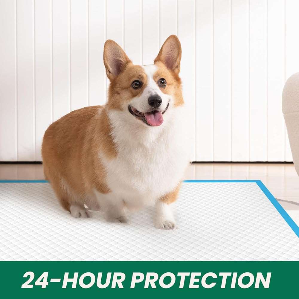 100 Count Large Dog & Cat Puppy Pee Pads - 28"x30" Absorbent Potty Training Pads | Leakproof Quick-Dry Disposable Pet Pads for Puppies, Dogs & Cats | Indoor, Outdoor, Litter Box, Housebreaking Use - Image 8
