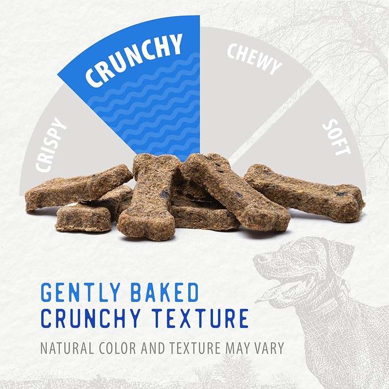 Caledon Farms The Dodo Crunchy Biscuits - Chicken with Apple & Blueberry 19.5oz, Dog Treats, Biscuits - Image 6