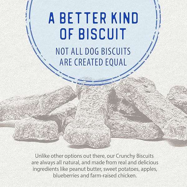 Caledon Farms The Dodo Crunchy Biscuits - Chicken with Apple & Blueberry 19.5oz, Dog Treats, Biscuits - Image 7