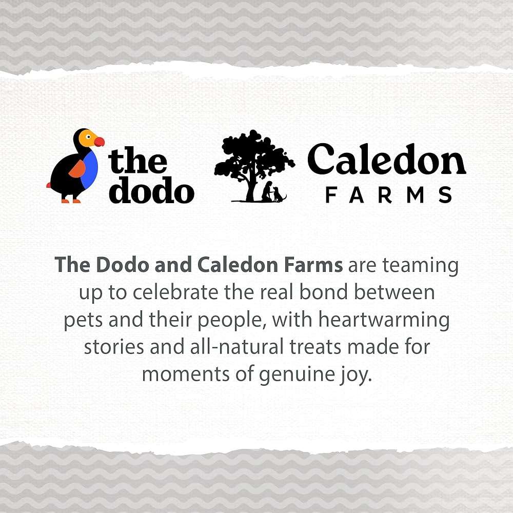 Caledon Farms The Dodo Crunchy Biscuits - Chicken with Apple & Blueberry 19.5oz, Dog Treats, Biscuits - Image 8
