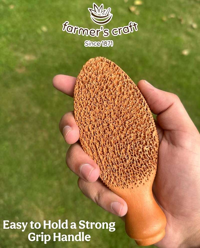 Natural Terra Cotta Pumice Stone for Feet (+Organic Cocoa) Lasts 7+ Years Callus Remover & Trimmer | Ancient Indus Valley Foot Scrubber (Divine Pumice) - Image 6