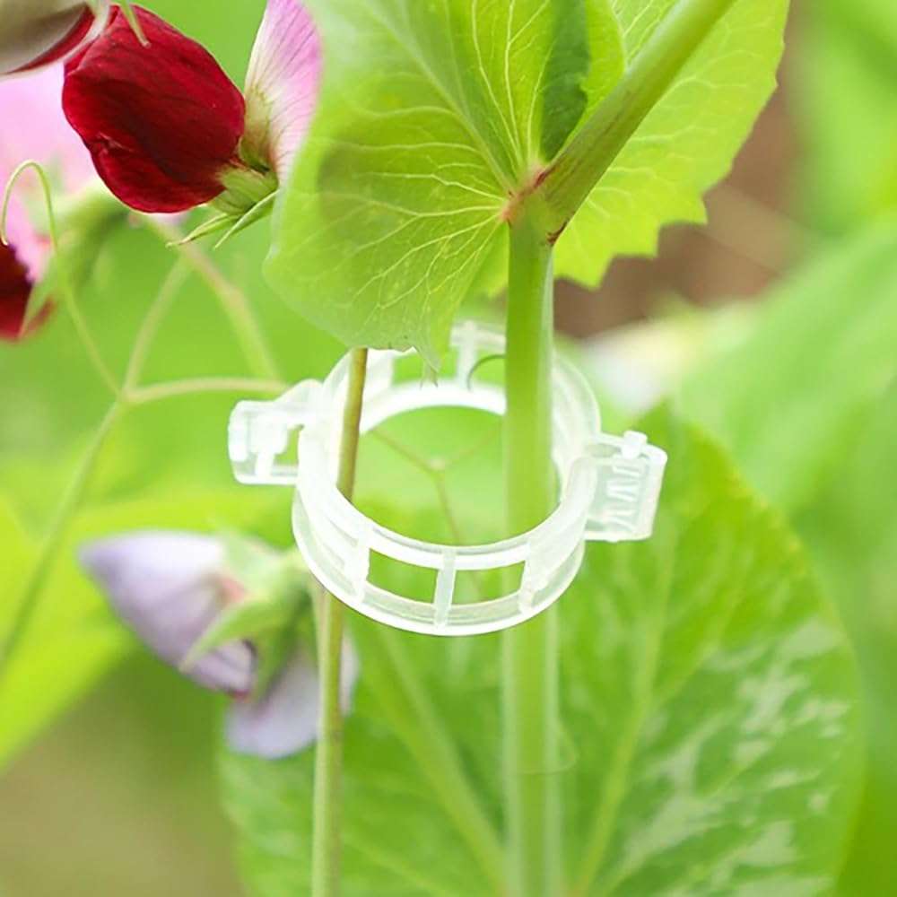 increnobl Reusable Plastic Plant Clips for Climbing Plants 2025 - Gentle & Secure Garden Support Clips for Tomatoes, Vines, Cucumbers, Grapes, Vegetables - Indoor/Outdoor Trellis Clips (100, White) - Image 2