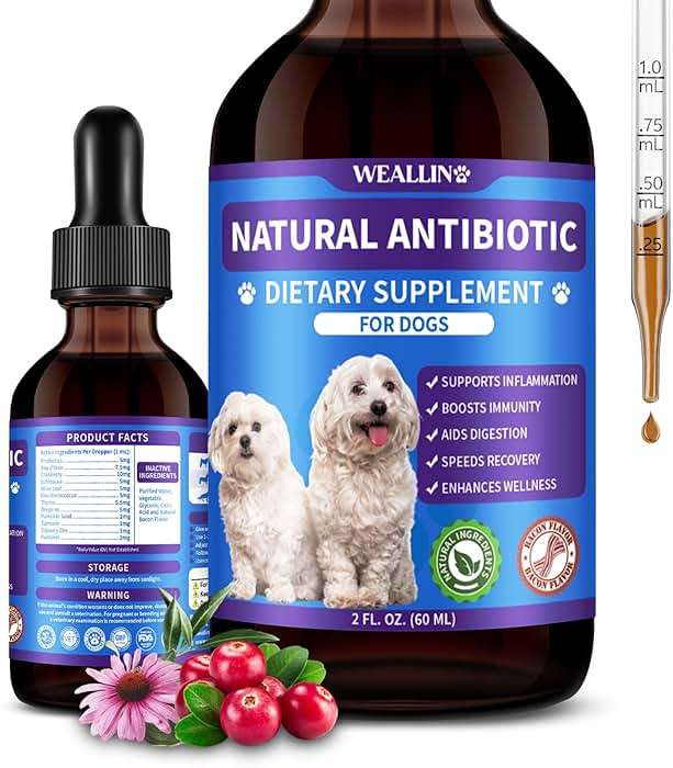 Dog Antibiotics Support - Natural Antibiotics Care for Dogs Herbal Supplement for Cough Allergy Itch Relief Immune Support Dog UTI Comfort for All Breeds & Ages - 60 ml/2 Fl Oz Bacon Flavor - Image 1
