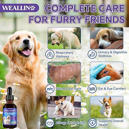 Dog Antibiotics Support - Natural Antibiotics Care for Dogs Herbal Supplement for Cough Allergy Itch Relief Immune Support Dog UTI Comfort for All Breeds & Ages - 60 ml/2 Fl Oz Bacon Flavor - Image 2