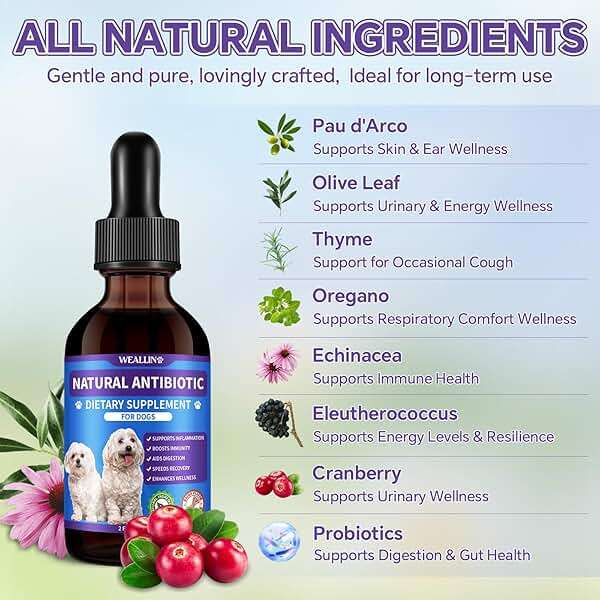Dog Antibiotics Support - Natural Antibiotics Care for Dogs Herbal Supplement for Cough Allergy Itch Relief Immune Support Dog UTI Comfort for All Breeds & Ages - 60 ml/2 Fl Oz Bacon Flavor - Image 3